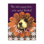 Puppy Love Peeking Out of a Flower postcards
