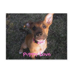 Puppy Love postcard