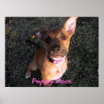 Puppy Love poster posters