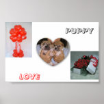 Puppy Love posters