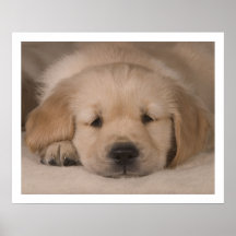 Puppy Love. Poster by cARTerART