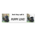 Puppy Love, Puppy Love, And they call it, Puppy... Bumper Sticker