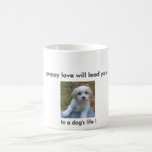 Puppy love will lead you ... to a dog's life! coffee mugs