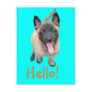puppy malinois post cards