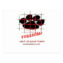 Puppy Mill Awareness Day Postcard