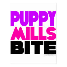 Puppy Mills Bite Postcard
