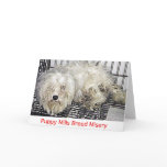 Puppy Mills Breed Misery Card