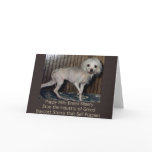 Puppy Mills Breed Misery Card