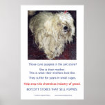 Puppy Mills Breed Misery Poster posters