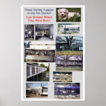 Puppy Mills Breed Misery Poster