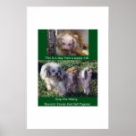 Puppy Mills Breed Misery Poster posters