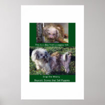 Puppy Mills Breed Misery Poster