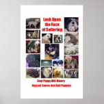 Puppy Mills Breed Misery Poster posters
