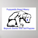 Puppy Mills Breed Misery Poster posters