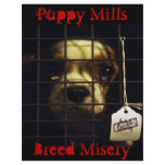 Puppy Mills Flyer