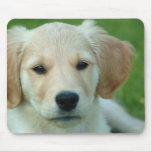 puppy mousepads