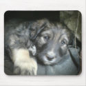 Puppy pad mousepads