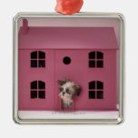 Puppy peering out of doll's house christmas ornaments