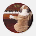 Puppy Pianist Magnets