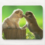 PUPPY PLAY mousepads