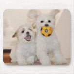 puppy play mousepads