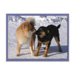 Puppy play Postcards