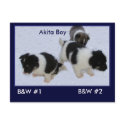 Puppy Postcards #0