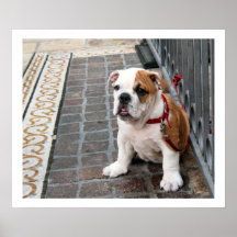 puppy print
