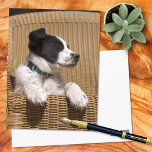 Puppy Sleeping In Chair