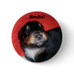 Puppy Smile buttons