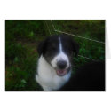 Puppy speaks card *customize*