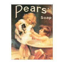 Puppy Taking a Bath Canvas Print