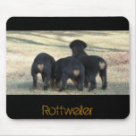 Puppy times three mousepads