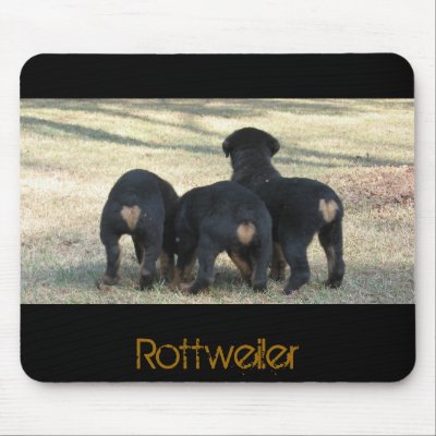 Puppy times three mouse pads by TanzbarK9