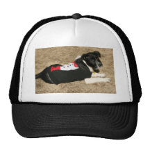 Puppy Tux Trucker Hats