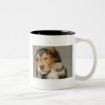 Puppy Winks Mug