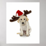 Puppy with Santa Hat and Reindeer Ears Print
