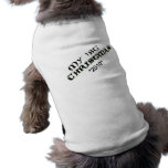 Puppy's first christmas pet clothing