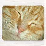 Pure Bliss mousepads