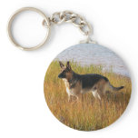 Pure Bred German Shepherd Photo on Key Chain keychains