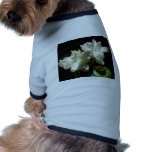 Pure Jasmine pet clothing