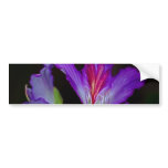 Purity bumper stickers