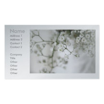 Purity Business Cards