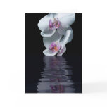 Purity cards