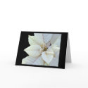 Purity cards