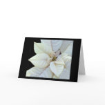 Purity cards