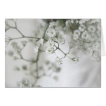 Purity Greetings Card