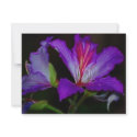 Purity invitations