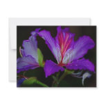 Purity invitations