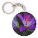 Purity keychains